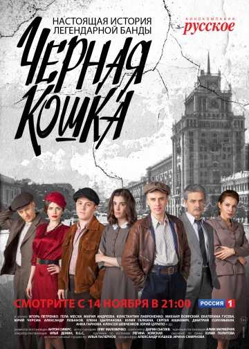 Сериал Черная кошка