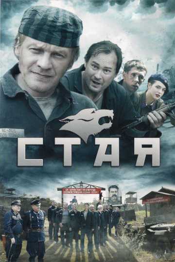 Сериал Стая